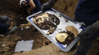 A gold artifact on a tray at a dig site.