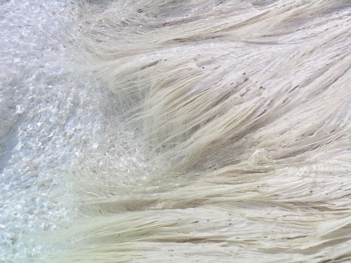 Fettuccini, anyone? Microbial mats in the Mammoth Springs hot springs in Yellowstone look a lot like a bowl of pasta.