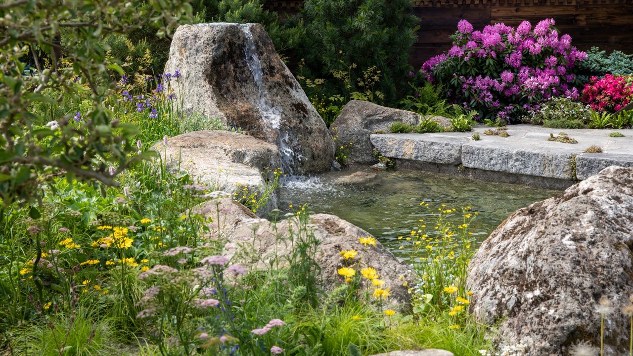 RHS Chelsea Flower Show trends