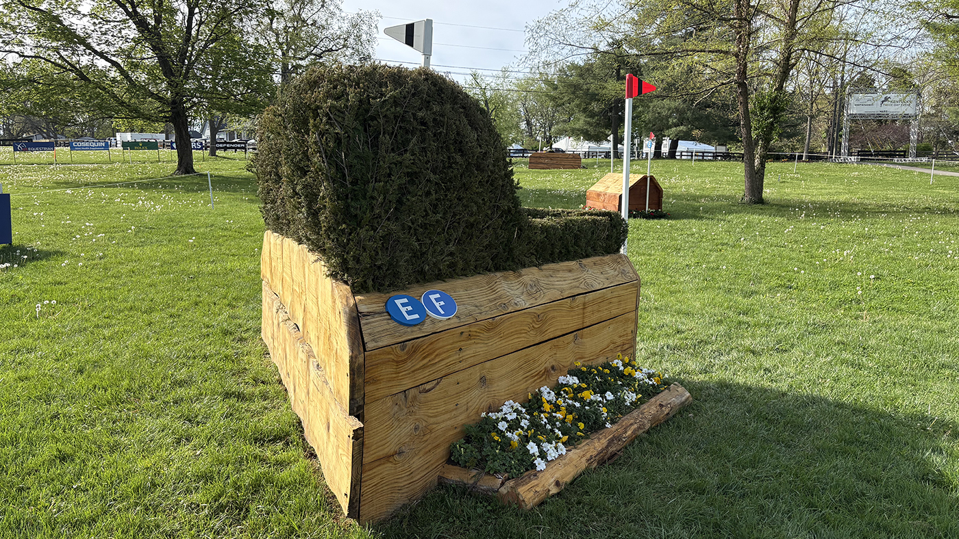 Fence18ef