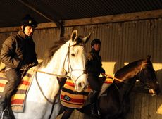Nicky Henderson and Sprinter Sacre shoot with Lucinda Green