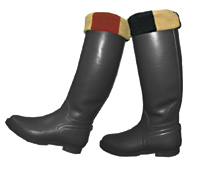 WellieCossies.jpg