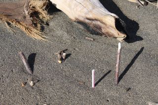 beach debris in hawaii