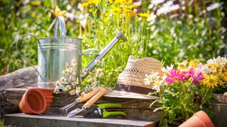Gardening tools to plant outdoors