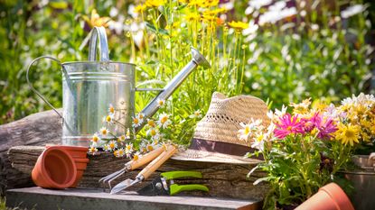 Gardening tools to plant outdoors
