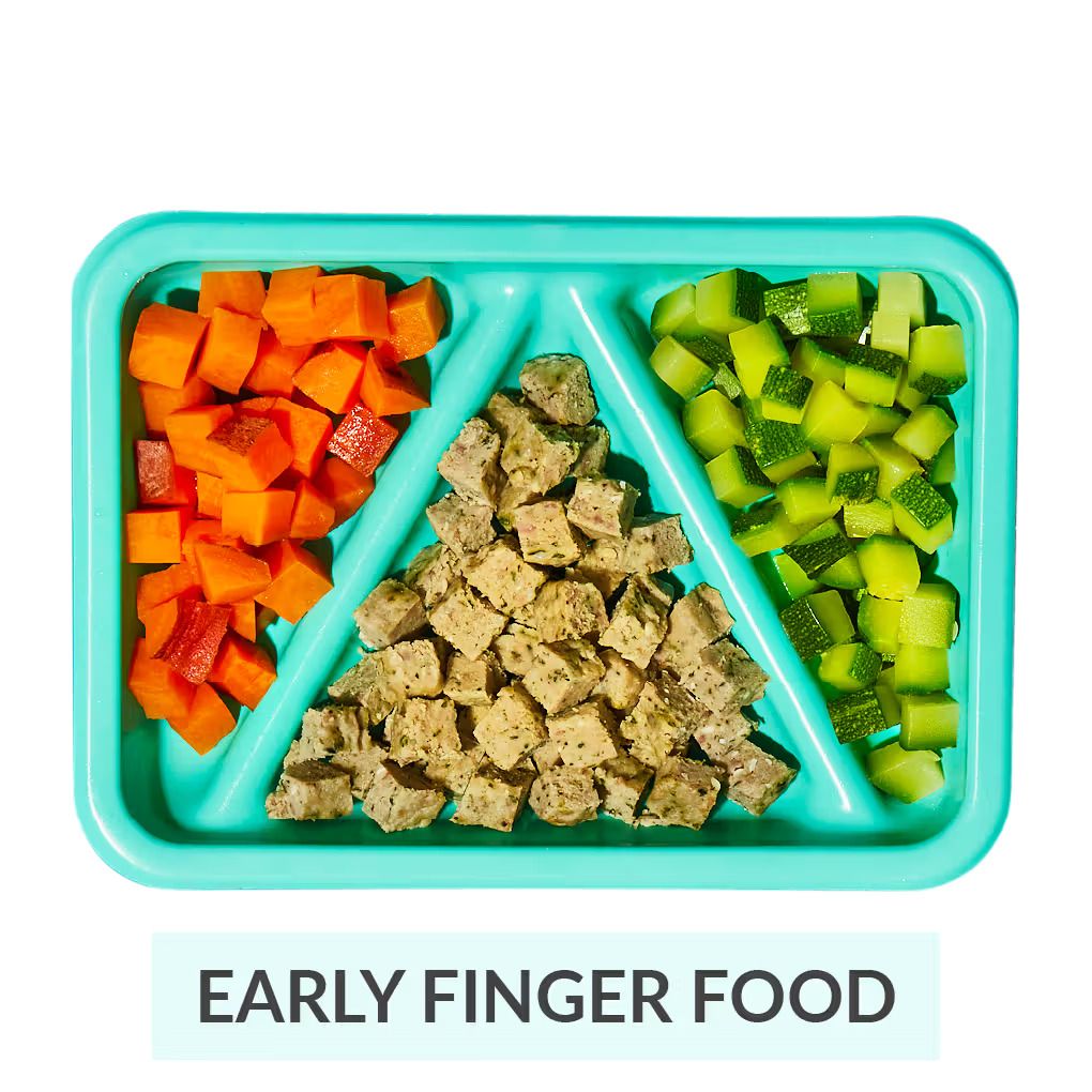 Little Spoon Finger Food