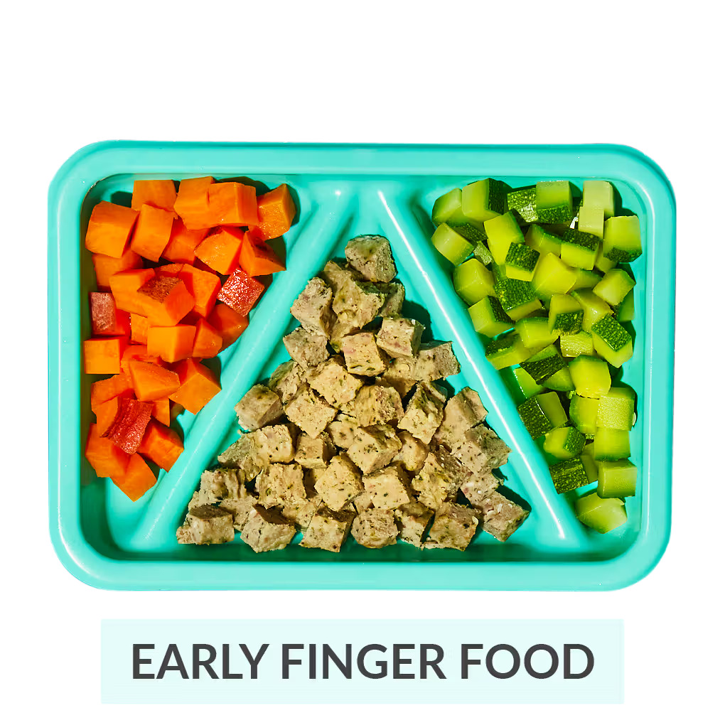 Little Spoon Finger Food