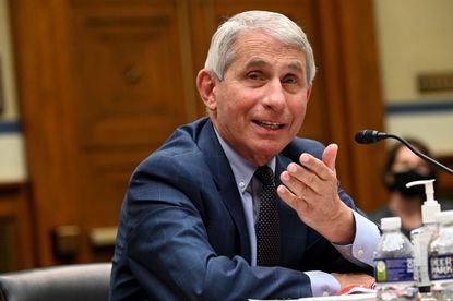 Anthony Fauci, director of the National Institute of Allergy and Infectious Diseases, testifies during a House Select Subcommittee on the Coronavirus Crisis hearing on July 31, 2020 in Washin