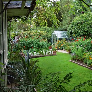 garden with greenhouse grass and flower plants