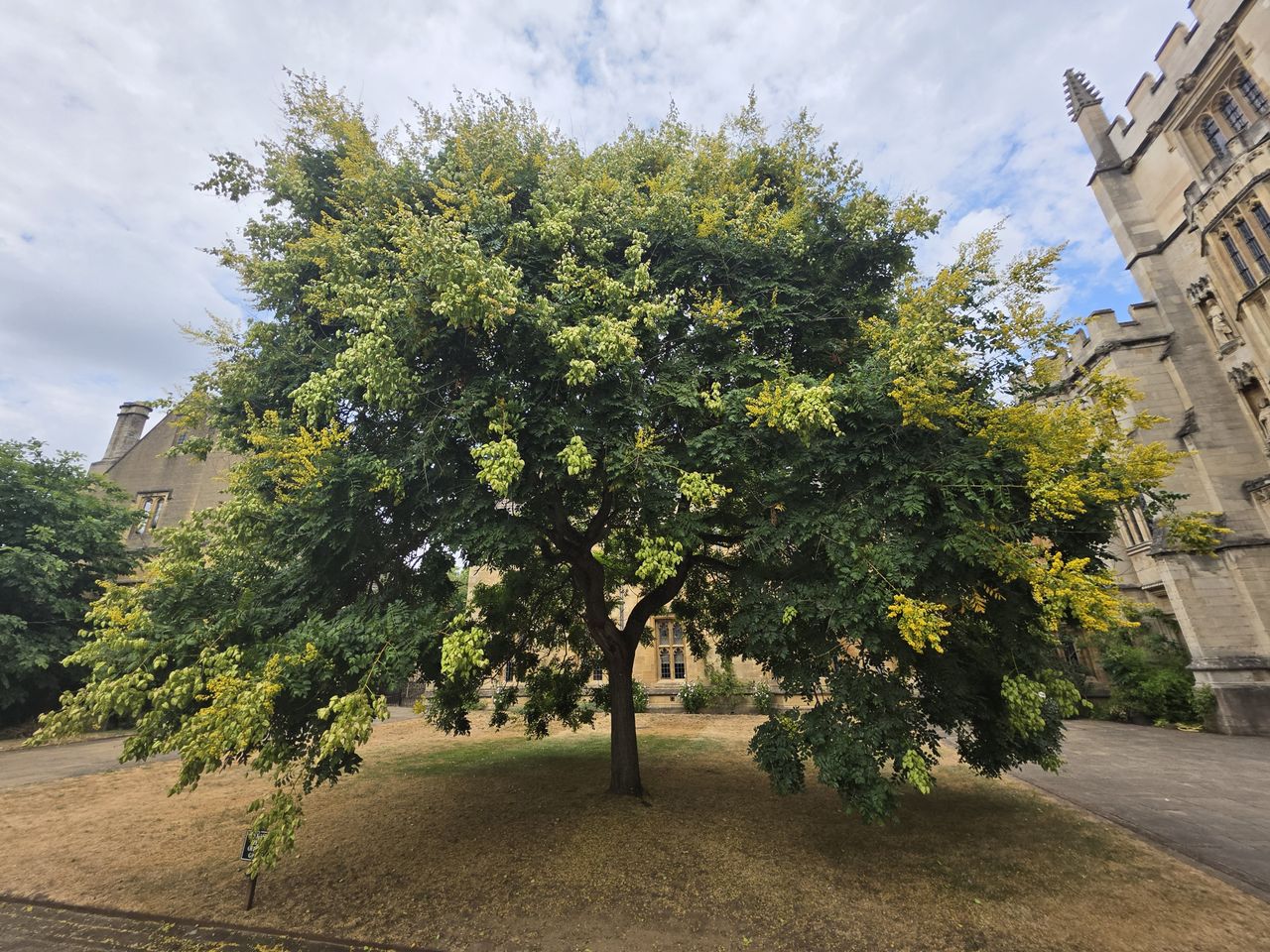 Galaxy Z Fold 8 Ultra camera samples