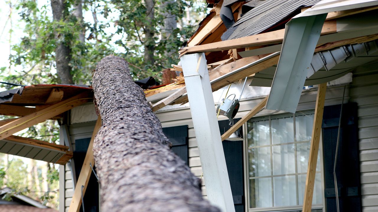 picture of a tree that fell on a house 