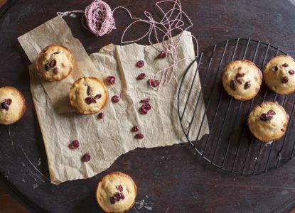 Dried cranberry muffins