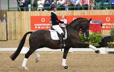 Charlotte Dujardin on Valegro at Hartpury Festival of Dressage 2017