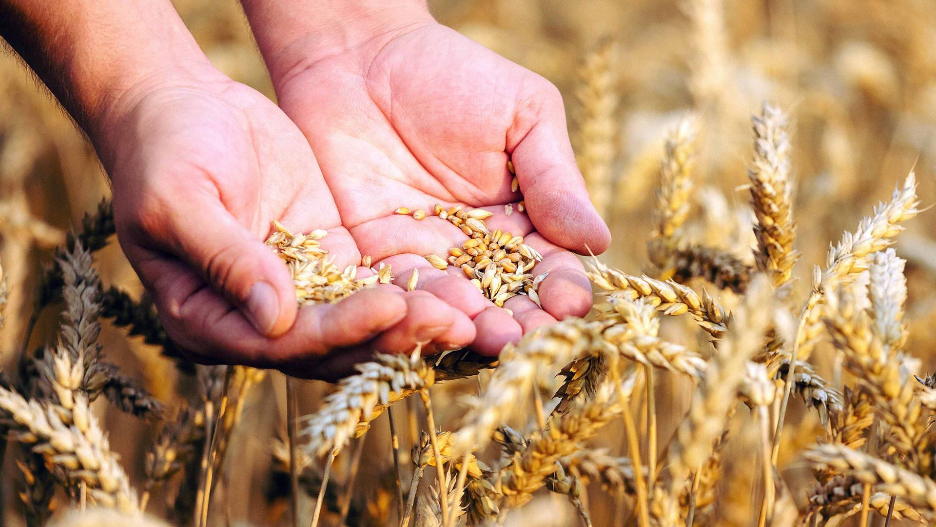 Archer Daniels Midland