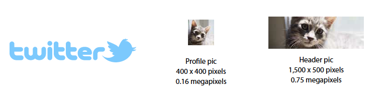 how many megapixels do you need