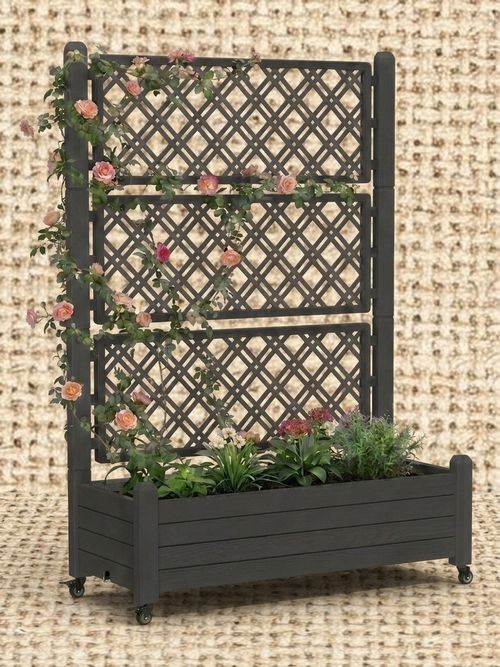 Raised Garden Bed with Trellis