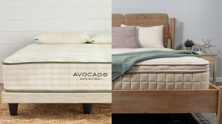 The Avocado Green mattress is seen on the left hand side of the image, while the Naturepedic Concerto Organic Pillow Top mattress is seen on the right hand side of the image