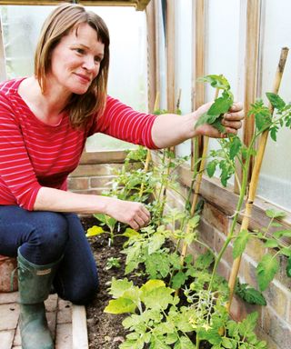 Garden expert Lucy Chamberlain examining plants for whitefly in a greenhouse