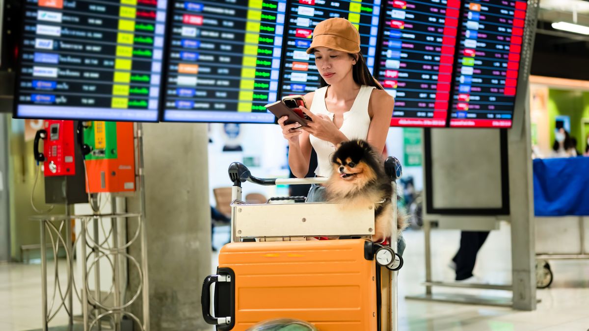 Woman at the airport with Pomeranian dog