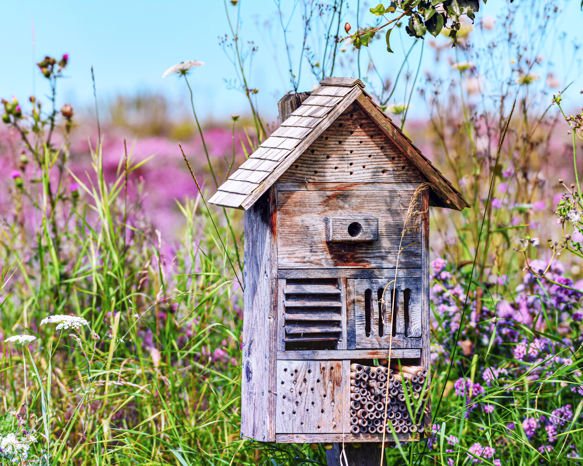 Bug hotel in pollinator garden