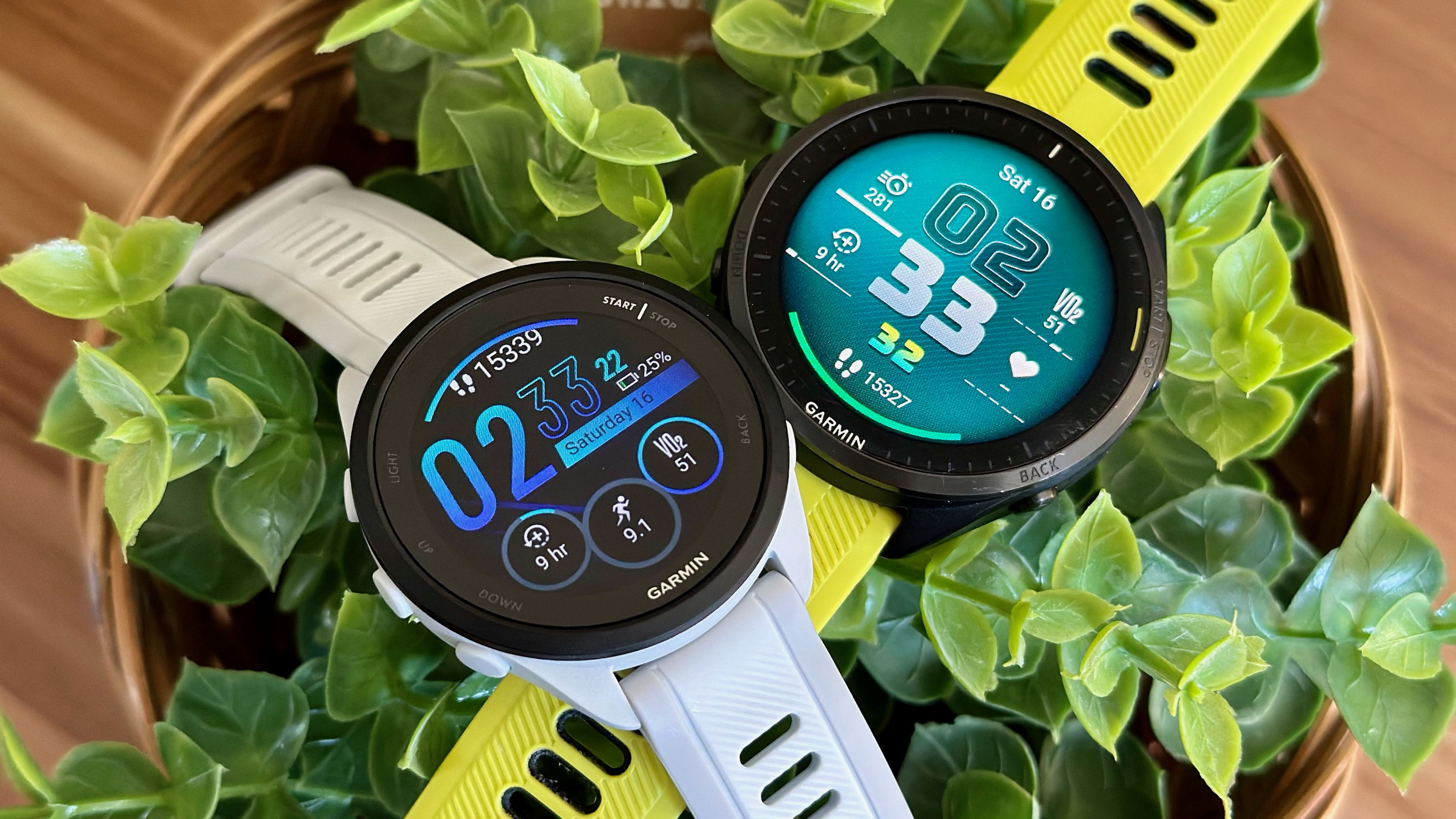 Garmin Forerunner 165 and 965 sitting atop one another on a plant.