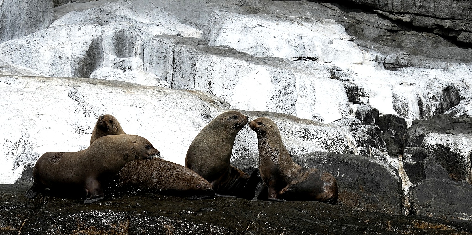 GuruShots - Nature&rsquo;s Masterpiece 2026