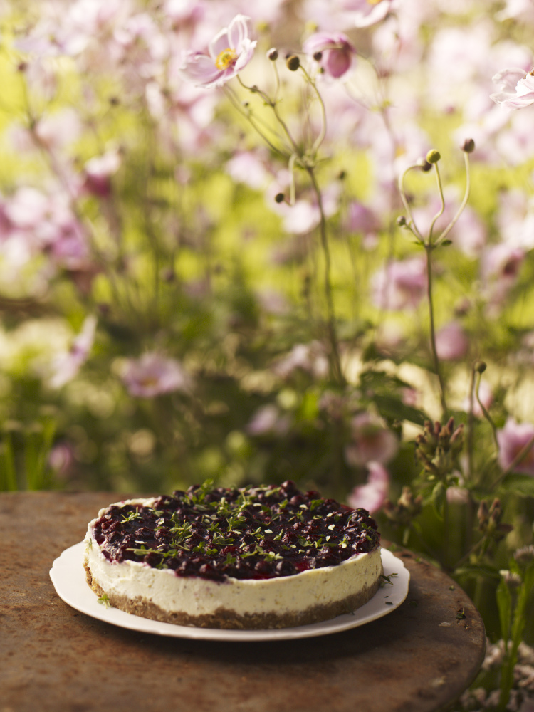 Lemon cheesecake with blackcurrant topping