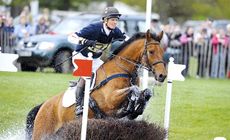William Fox Pitt and Tamarillo