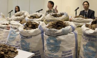 Hong Kong customs officials seized two tonnes of pangolin scales in June 2014.