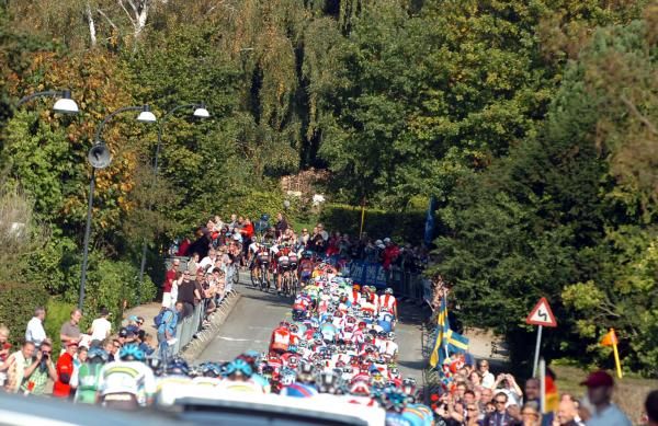 The peloton heads into the trees