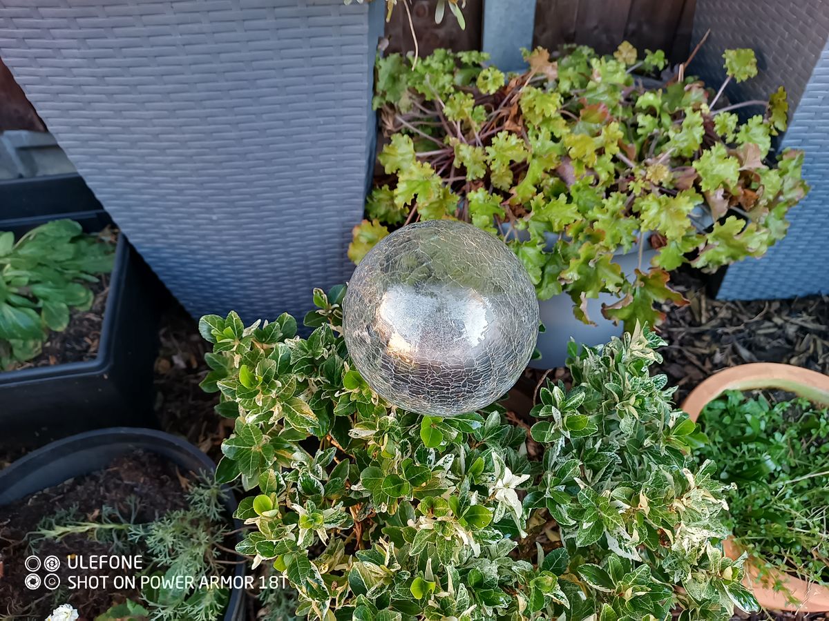 Photos taken with the Ulefone Armor 18T