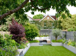 modern urban garden with painted shed, fences and built-in bench seating areas