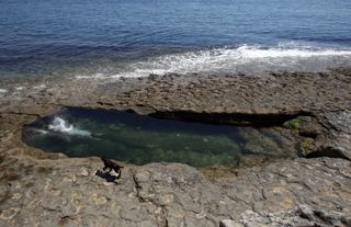 A swimmer dives into a sea pool at Dancing Ledge, part of the Dorset Jurassic Coast near Langton Matravers, on July 24, 2012 near Swanage, England