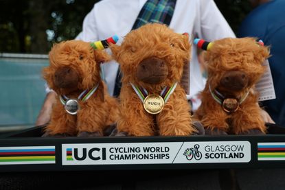 three highland coo teddy bears on a tray at the UCI Cycling World Championships