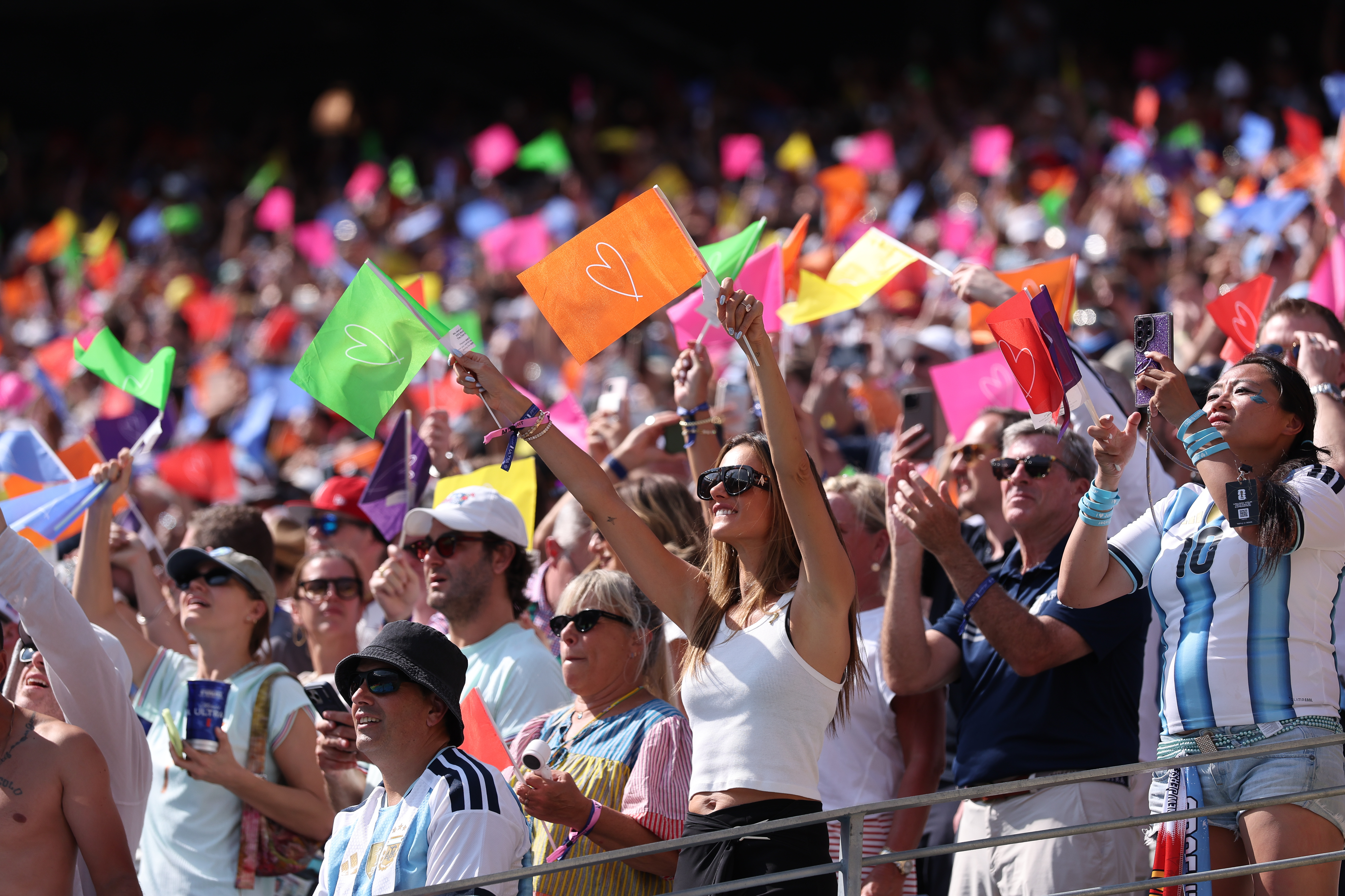 World Cup final fans