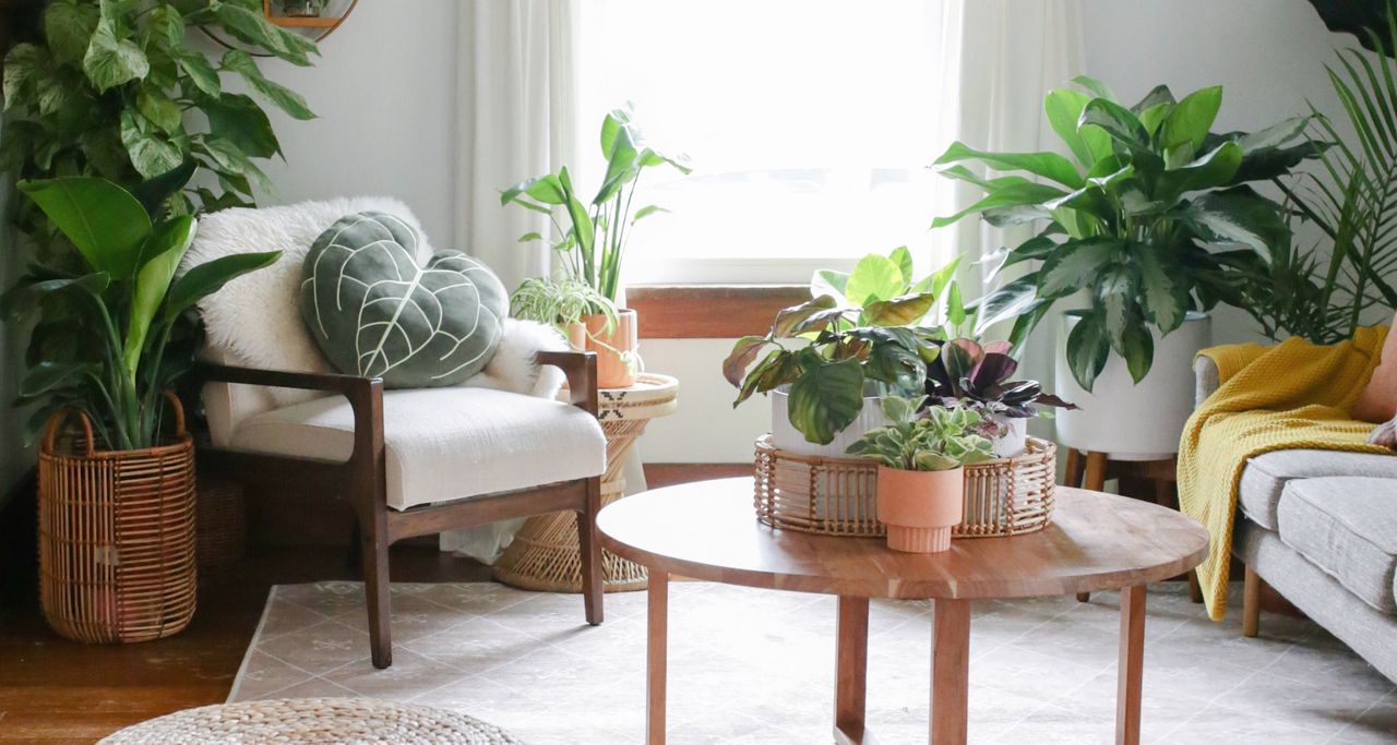 small living room with wooden coffee table and mid century style armchair 