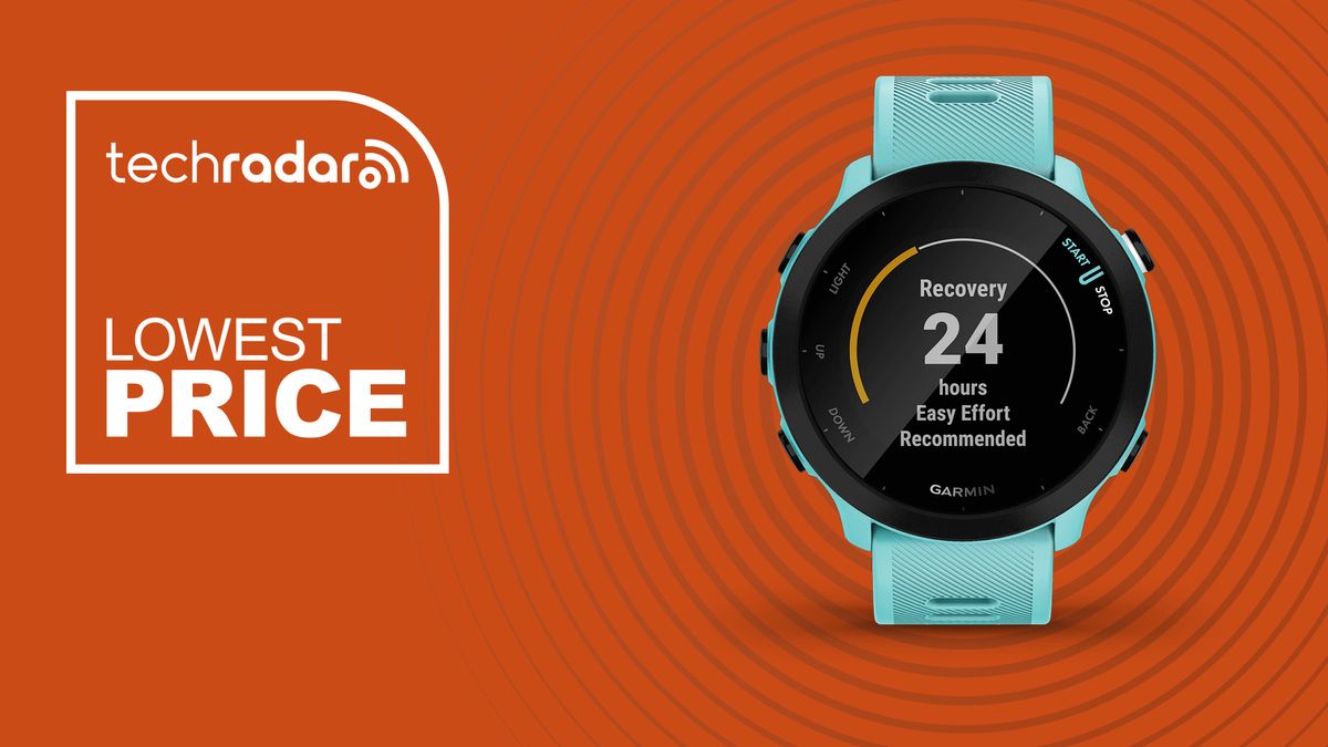 A garmin forerrunner 55 on an orange background with the phrase lowest price 