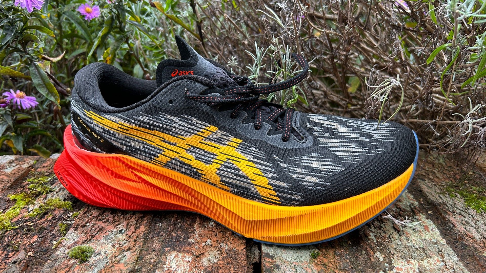 nike pegasus turbo dicks