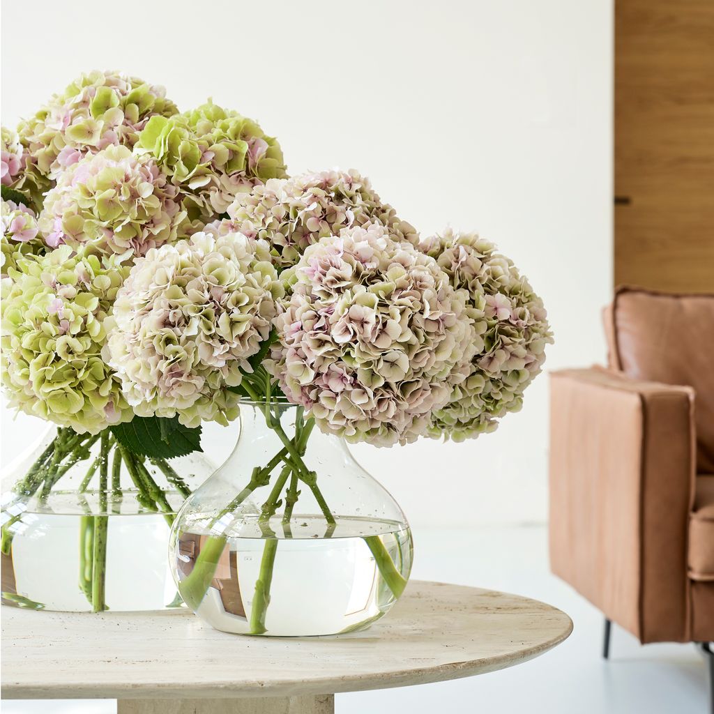 Which flowers last the longest? 5 bouquets that stay fresh Livingetc
