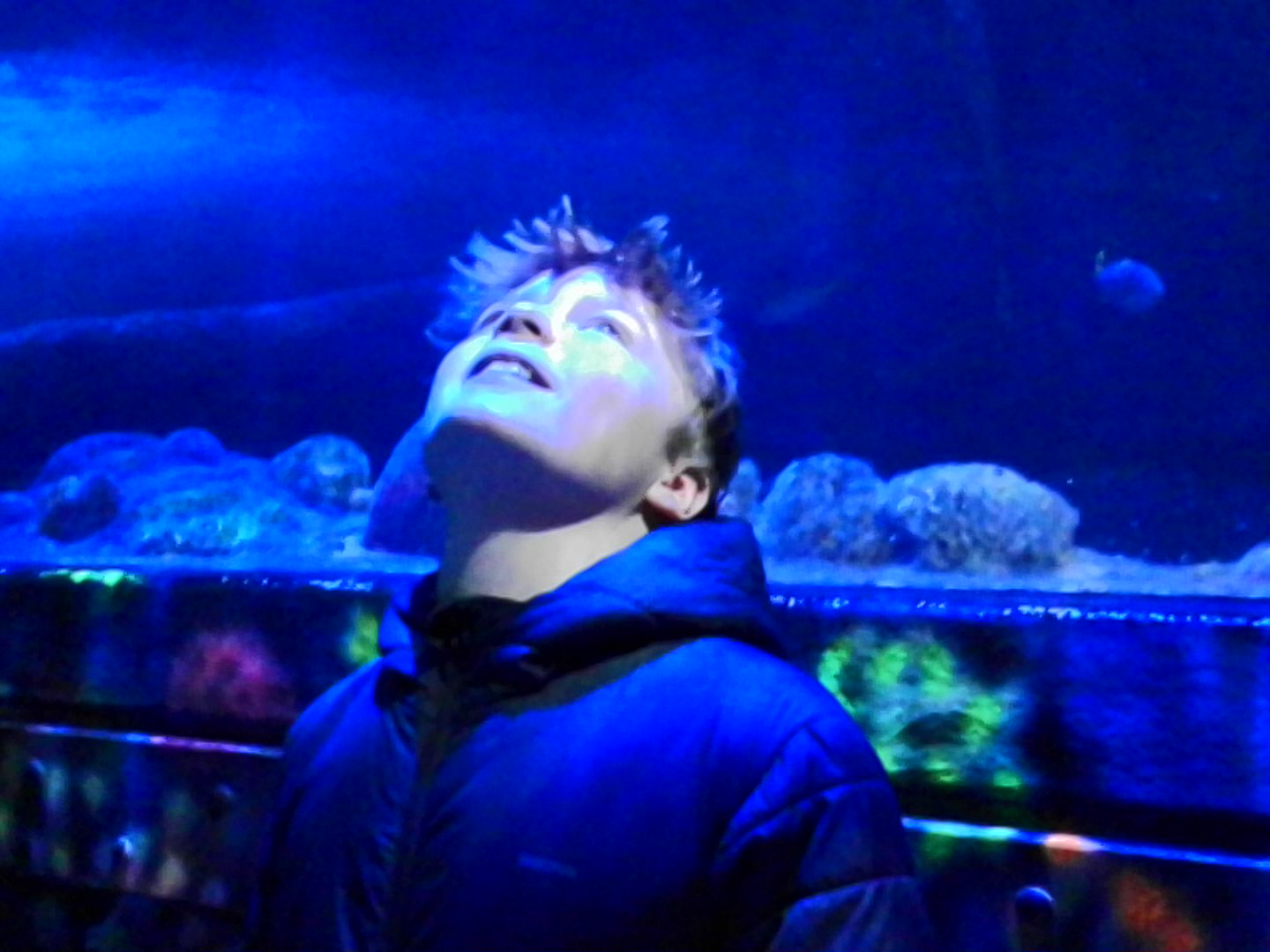 Kodak Charmera sample gallery: boy looking up at ocean life in an aquarium tunnel