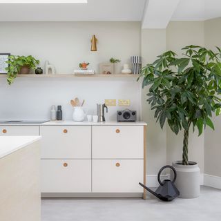 white drawers and cabinets, skylight, green house plants, wooden shelving and black watering can