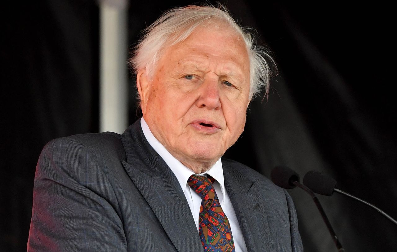 Sir David Attenborough, now 93, has lost none of his passion or eloquence.