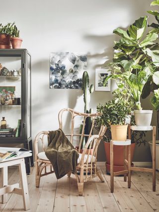 living room area with wooden furniture and house plants by Ikea.
