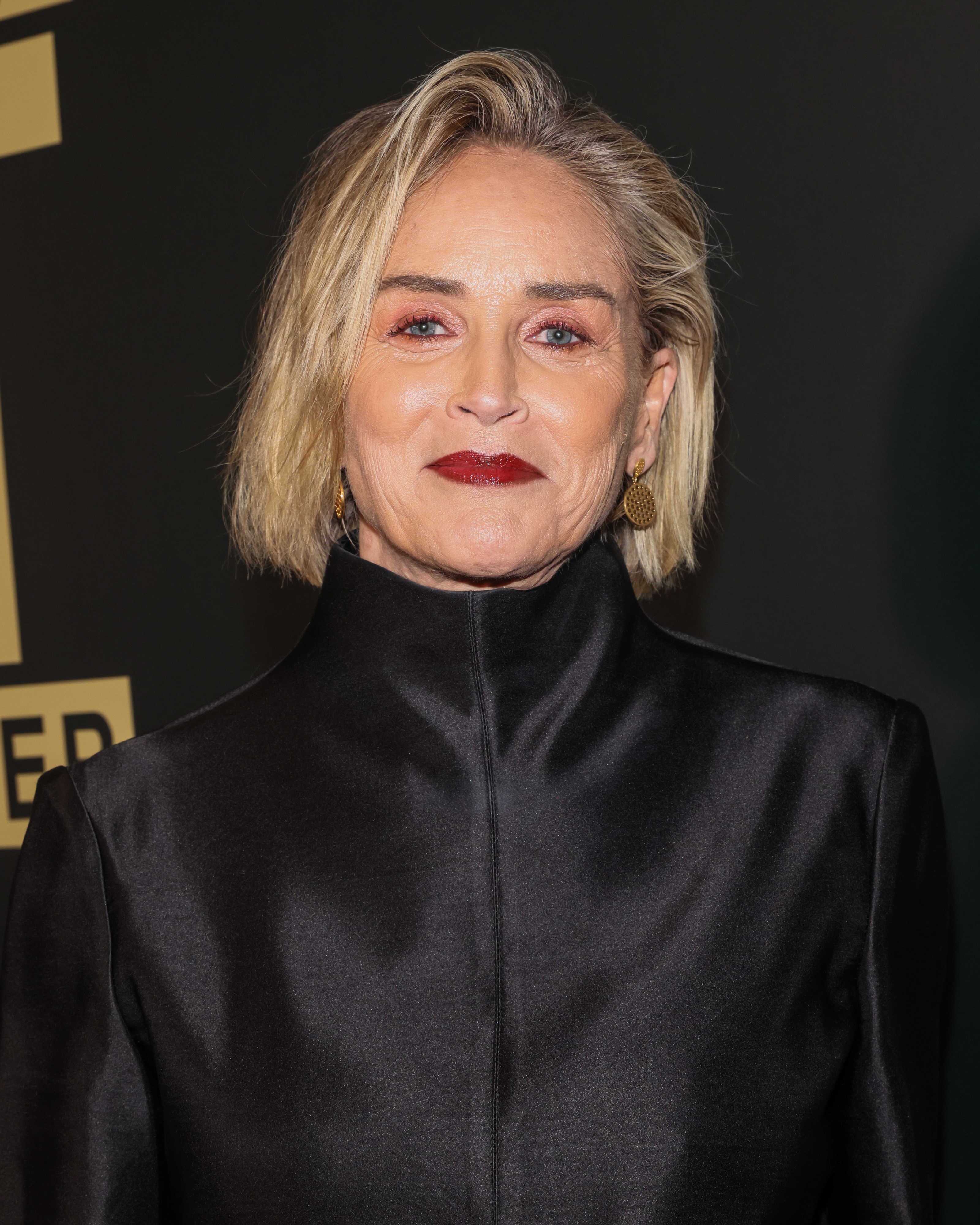 Sharon Stone attends the We Do It Together's 10th Anniversary Gala at Mr. Brainwash Art Museum on November 18, 2025 in Beverly Hills, California.