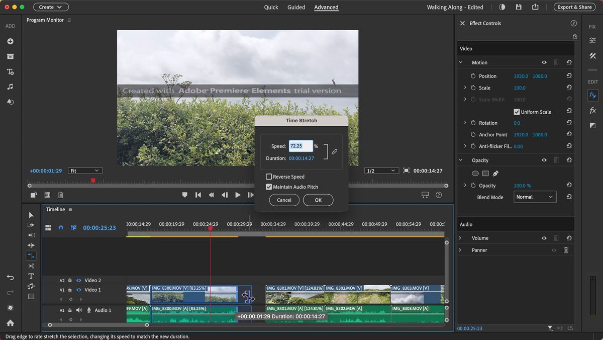 Adobe Premiere Elements (2025) review
