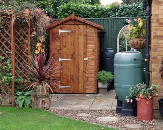 shed and water butts in autumn garden