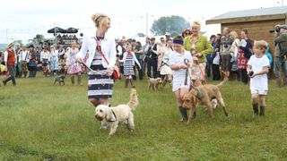dog show at country show