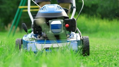 Electric lawn mower motor smoking sale