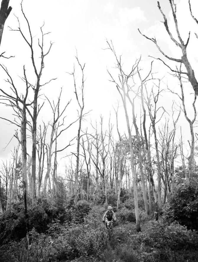 Regardless of age, the Trans-Sylvania Epic greets riders with incredible trails and scenery