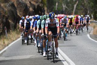 GUMERACHA AUSTRALIA JANUARY 21 Filip Maciejuk of Poland and Team Red Bull BORA hansgrohe leads the peloton during the 25th Santos Tour Down Under 2025 Stage 1 a 1507km stage from Prospect to Gumeracha 342m UCIWT on January 21 2025 in Gumeracha Australia Photo by Dario BelingheriGetty Images